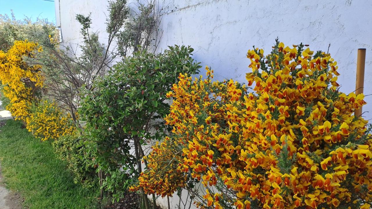 La Casa De Las Retamas Río Grande 外观 照片